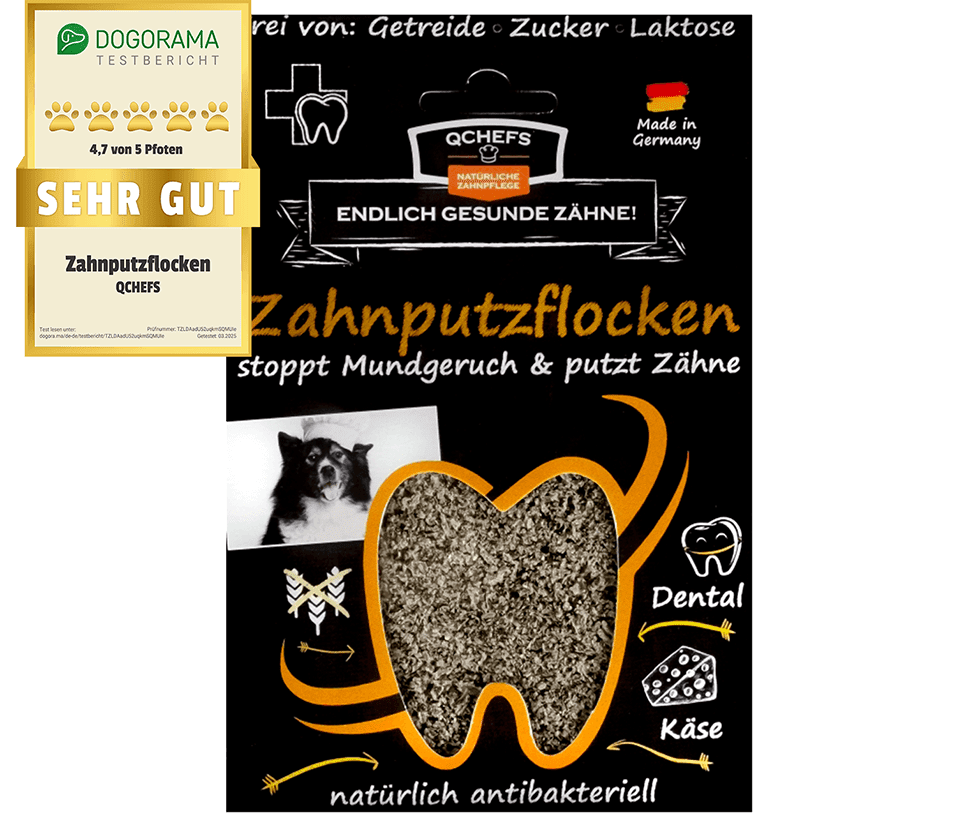 Produktverpackung von QCHEFS Zahnputzflocken für Hunde – natürliche antibakterielle Zahnpflege gegen Mundgeruch und Zahnstein. Schwarze Verpackung mit orangenem Zahnmotiv und Bild eines Hundes. Enthält „Sehr gut“ Bewertung von Dogorama mit 4,7 von 5 Pfoten. Frei von Getreide, Zucker und Laktose. Made in Germany. Ideal zur Unterstützung der Zahngesundheit bei Hunden.
