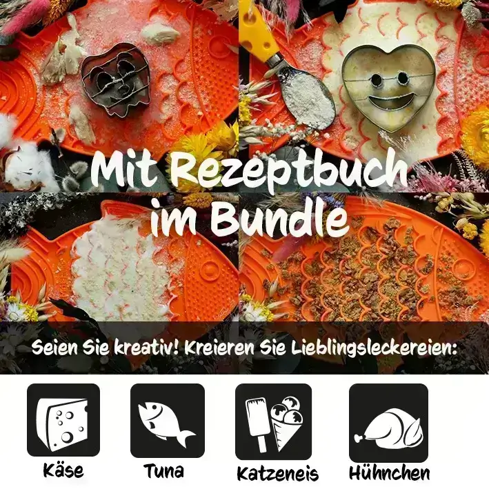 Licki Dental Bundle Felix – Bild 8