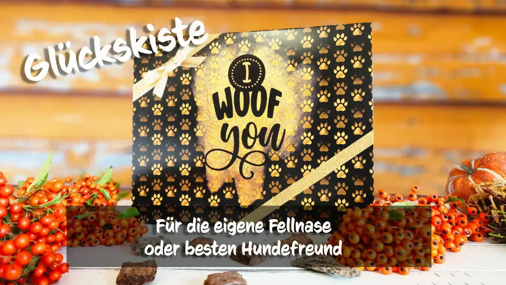 Glückskiste Set Hund – Bild 6