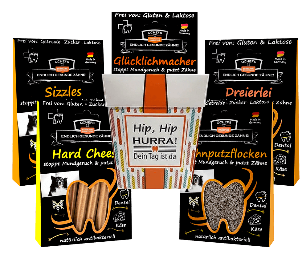 Geschenkbox mit fünf verschiedenen QCHEFS Zahnputzprodukten für Hunde. Die schwarze Verpackung mit auffälligen Schriftzügen zeigt "Sizzles", "Glücklichmacher", "Dreierlei", "Hard Cheese" und "Zahnputzflocken". Jedes Produkt betont natürliche antibakterielle Zahnreinigung, frei von Gluten, Zucker und Laktose. Die Box ist dekorativ gestaltet mit einem Aufkleber "Hip, Hip, Hurra! Dein Tag ist da". Perfekt als Geschenkset für natürliche Zahnpflege bei Hunden.