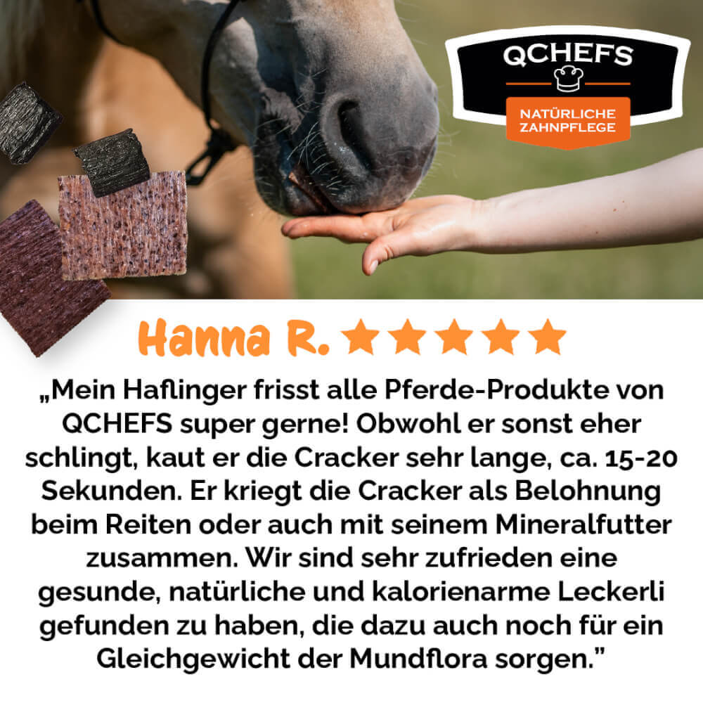 Zahnputz-Cracker Pferde Balance – Bild 6