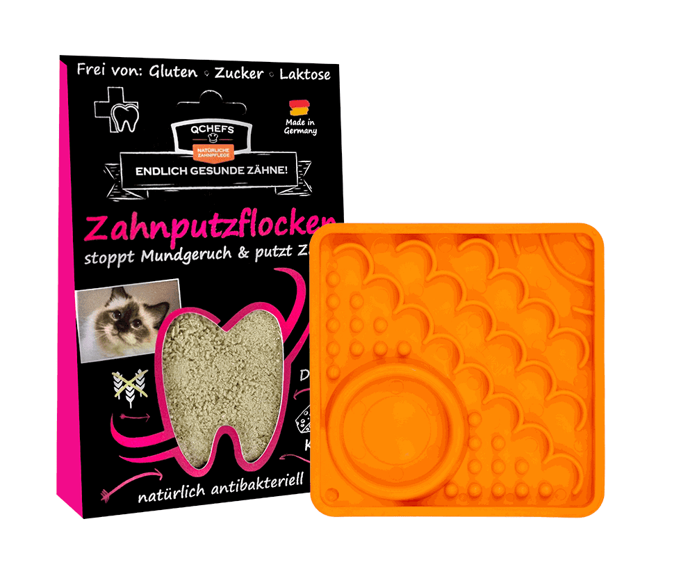Licki Dental Bundle Kitty