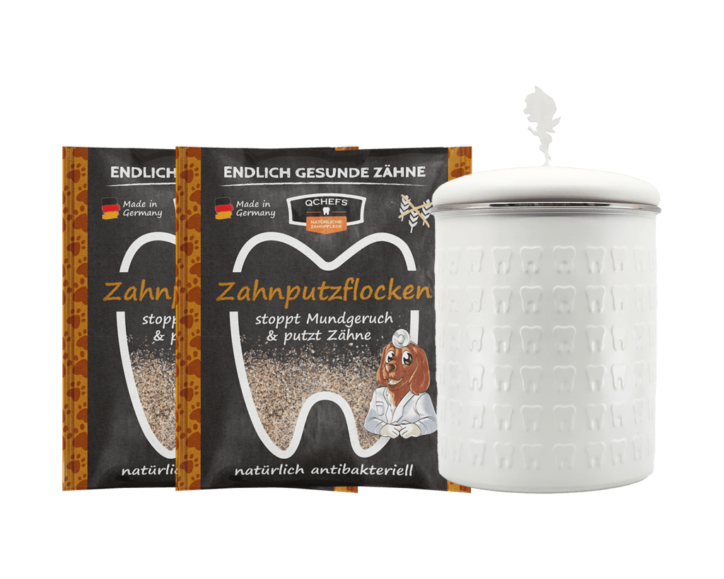 QCHEFS Zahnputzflocken, Packung für die Zahnpflege beim Hund.