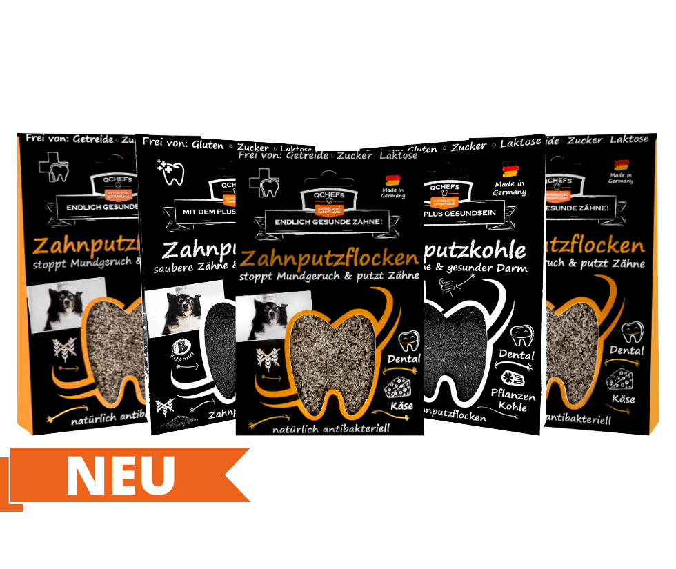 QCHEFS Produktsortiment mit fünf verschiedenen Zahnpflege-Produkten für Hunde: Zahnputzflocken, Zahnputzkohle. Vorne links ist ein oranger Banner mit der weißen Aufschrift „NEU“ zu sehen