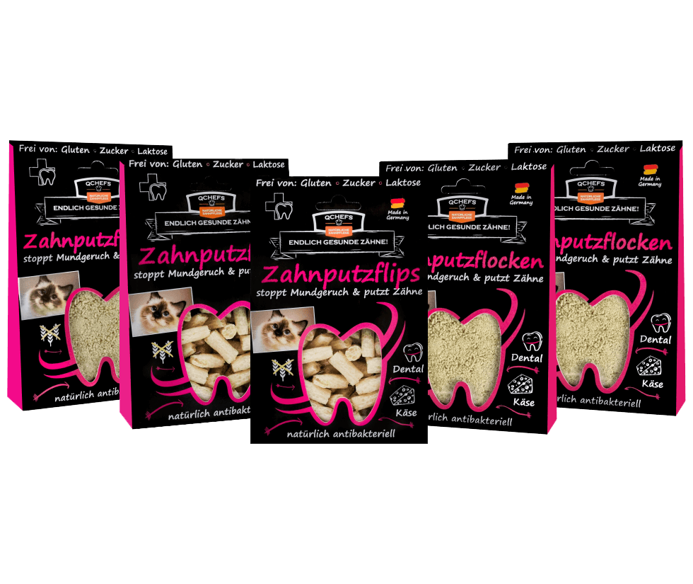 Fünf Packungen QCHEFS Zahnputzflocken und Zahnputzflips für Katzen in schwarzer Verpackung mit pinkfarbenen Akzenten. Die Verpackungen zeigen ein Herz-förmiges Sichtfenster in Form eines Zahns mit antibakteriellen Produkten gegen Mundgeruch und zur Zahnpflege, frei von Gluten, Zucker und Laktose.