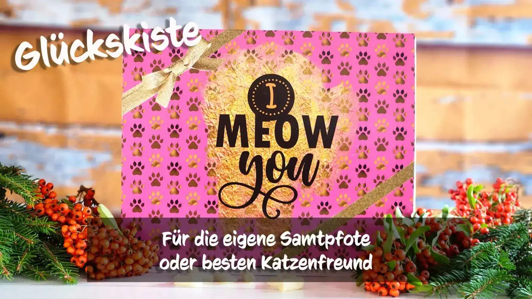 Glückskiste Schnupper Zahnbürste Katze – Bild 5